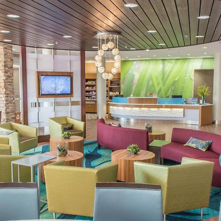 SpringHill Suites by Marriott Sumter Exteriör bild
